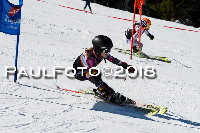 Ziener Cup WF, Finale, Quali + Parallelslalom, 24.03.2018