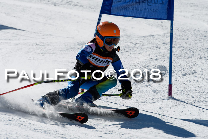 Ziener Cup WF, Finale, Quali + Parallelslalom, 24.03.2018