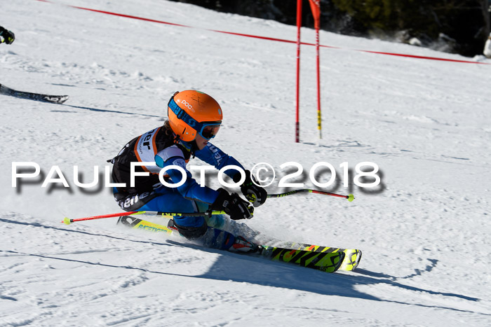 Ziener Cup WF, Finale, Quali + Parallelslalom, 24.03.2018