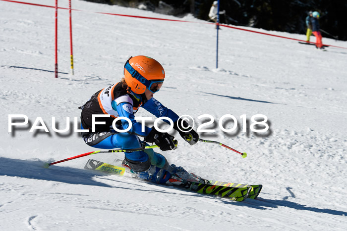 Ziener Cup WF, Finale, Quali + Parallelslalom, 24.03.2018