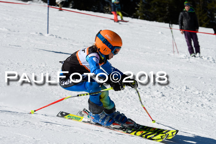 Ziener Cup WF, Finale, Quali + Parallelslalom, 24.03.2018
