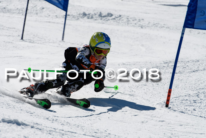 Ziener Cup WF, Finale, Quali + Parallelslalom, 24.03.2018