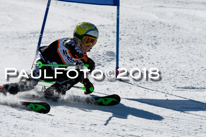 Ziener Cup WF, Finale, Quali + Parallelslalom, 24.03.2018