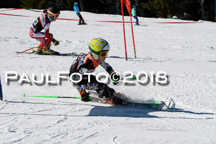 Ziener Cup WF, Finale, Quali + Parallelslalom, 24.03.2018