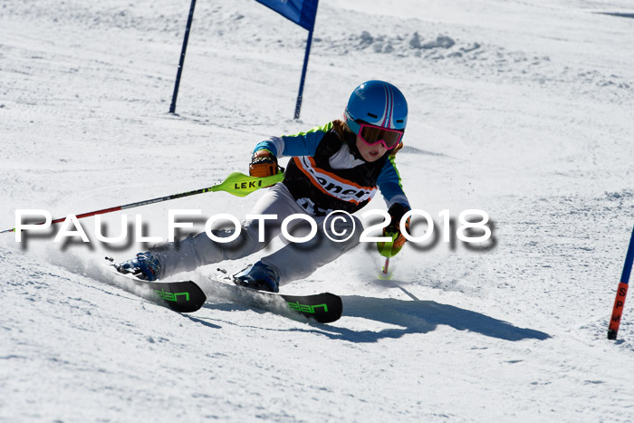 Ziener Cup WF, Finale, Quali + Parallelslalom, 24.03.2018