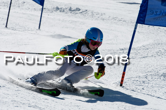 Ziener Cup WF, Finale, Quali + Parallelslalom, 24.03.2018