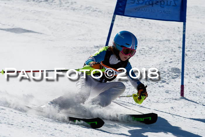 Ziener Cup WF, Finale, Quali + Parallelslalom, 24.03.2018