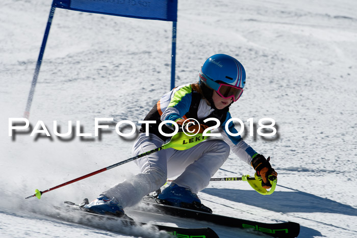 Ziener Cup WF, Finale, Quali + Parallelslalom, 24.03.2018