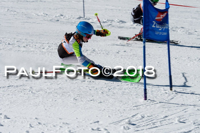 Ziener Cup WF, Finale, Quali + Parallelslalom, 24.03.2018