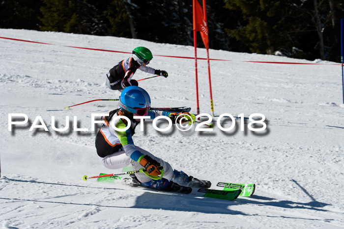Ziener Cup WF, Finale, Quali + Parallelslalom, 24.03.2018