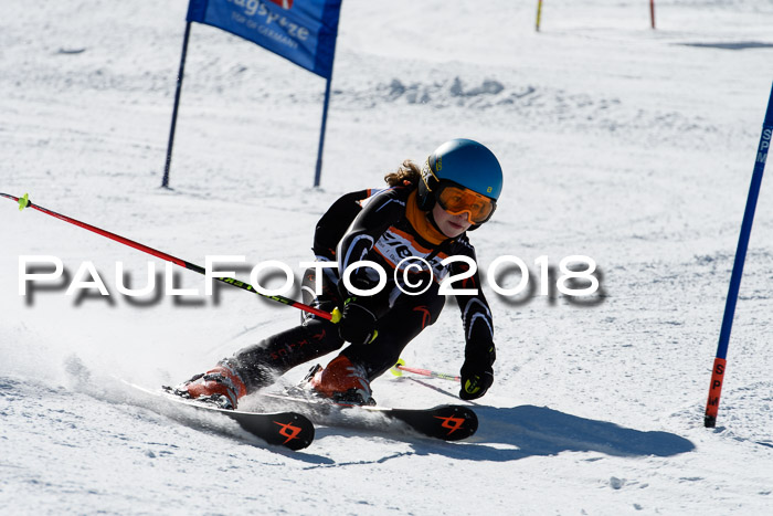 Ziener Cup WF, Finale, Quali + Parallelslalom, 24.03.2018