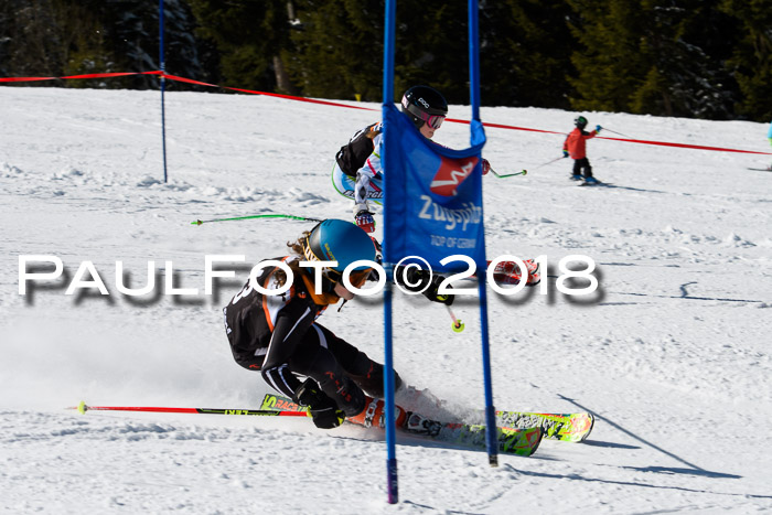Ziener Cup WF, Finale, Quali + Parallelslalom, 24.03.2018