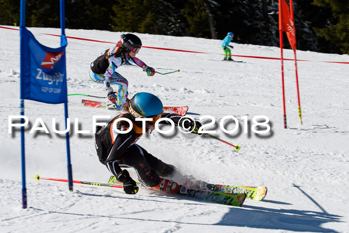 Ziener Cup WF, Finale, Quali + Parallelslalom, 24.03.2018