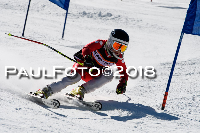 Ziener Cup WF, Finale, Quali + Parallelslalom, 24.03.2018