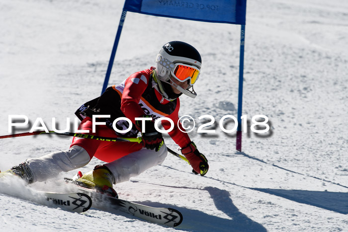 Ziener Cup WF, Finale, Quali + Parallelslalom, 24.03.2018