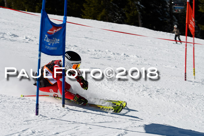 Ziener Cup WF, Finale, Quali + Parallelslalom, 24.03.2018
