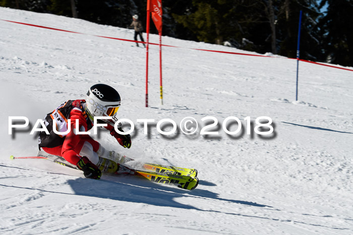 Ziener Cup WF, Finale, Quali + Parallelslalom, 24.03.2018