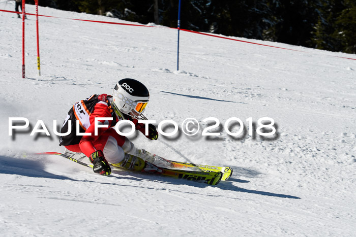 Ziener Cup WF, Finale, Quali + Parallelslalom, 24.03.2018