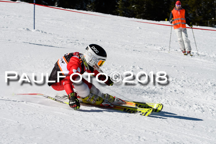 Ziener Cup WF, Finale, Quali + Parallelslalom, 24.03.2018