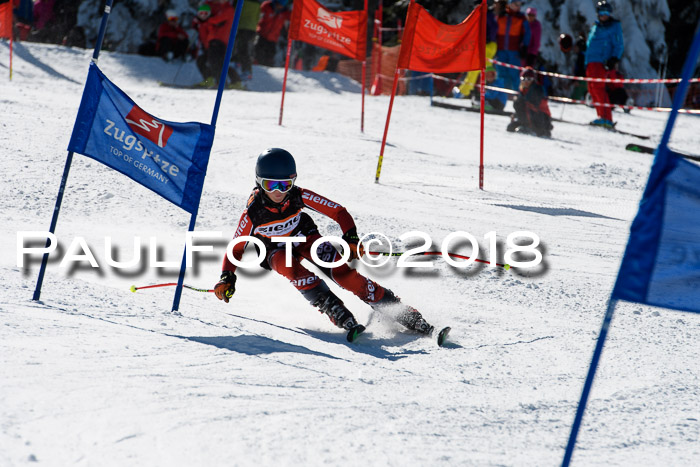 Ziener Cup WF, Finale, Quali + Parallelslalom, 24.03.2018