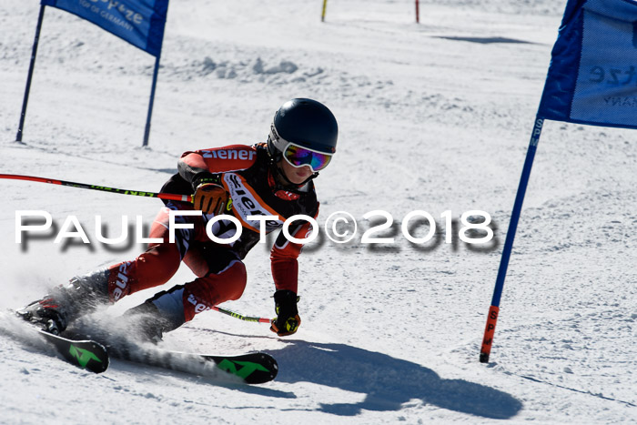 Ziener Cup WF, Finale, Quali + Parallelslalom, 24.03.2018