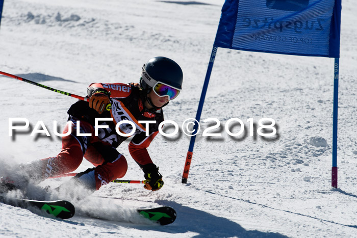 Ziener Cup WF, Finale, Quali + Parallelslalom, 24.03.2018