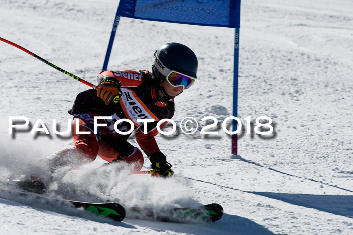Ziener Cup WF, Finale, Quali + Parallelslalom, 24.03.2018