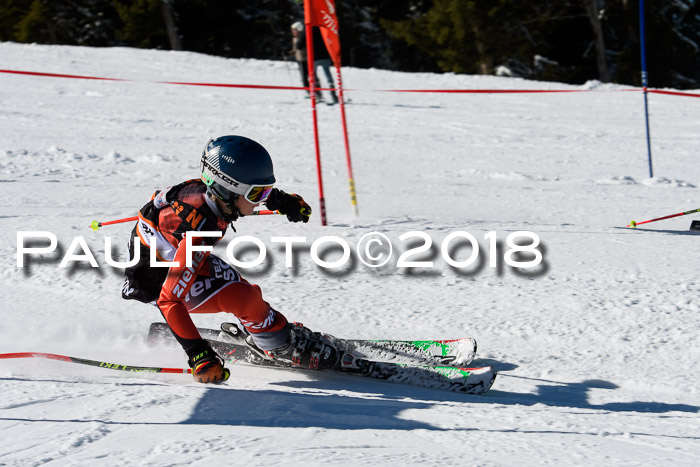 Ziener Cup WF, Finale, Quali + Parallelslalom, 24.03.2018