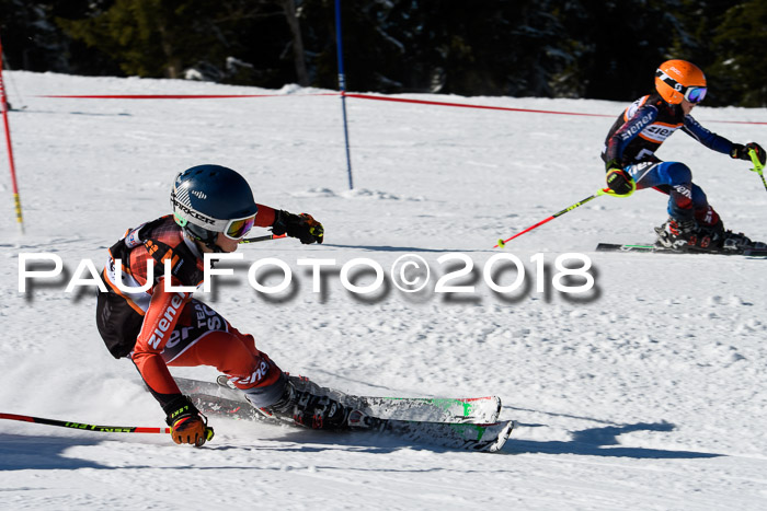 Ziener Cup WF, Finale, Quali + Parallelslalom, 24.03.2018