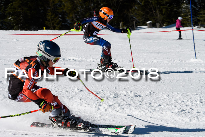 Ziener Cup WF, Finale, Quali + Parallelslalom, 24.03.2018