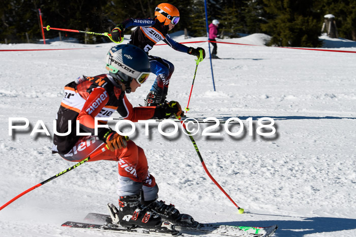 Ziener Cup WF, Finale, Quali + Parallelslalom, 24.03.2018