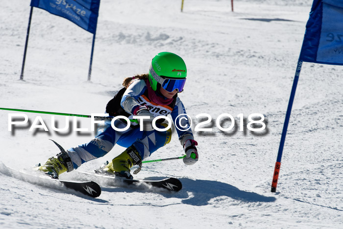 Ziener Cup WF, Finale, Quali + Parallelslalom, 24.03.2018