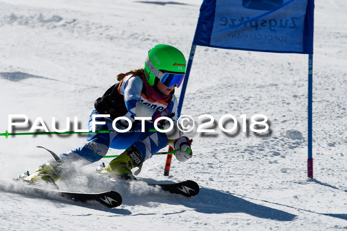 Ziener Cup WF, Finale, Quali + Parallelslalom, 24.03.2018