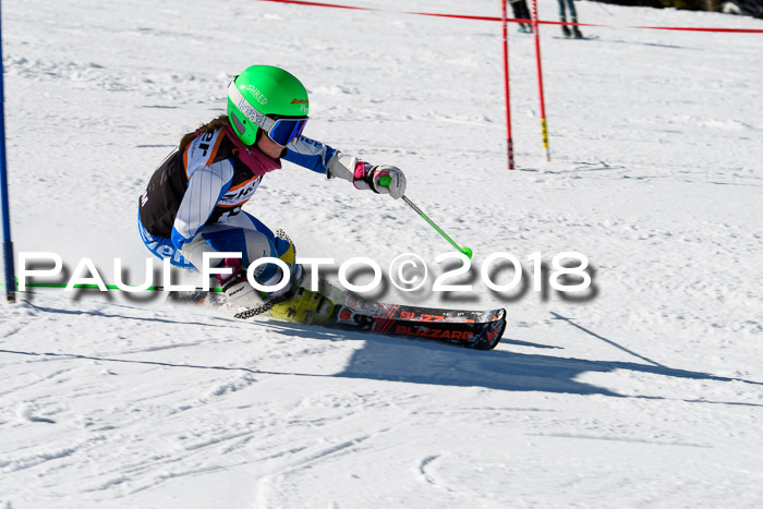 Ziener Cup WF, Finale, Quali + Parallelslalom, 24.03.2018