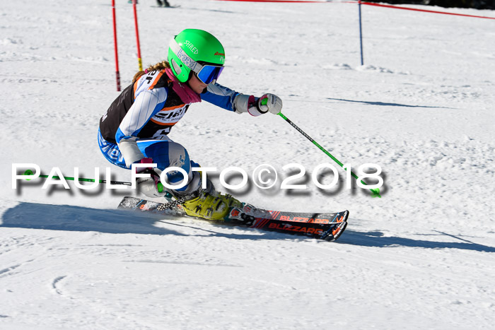 Ziener Cup WF, Finale, Quali + Parallelslalom, 24.03.2018