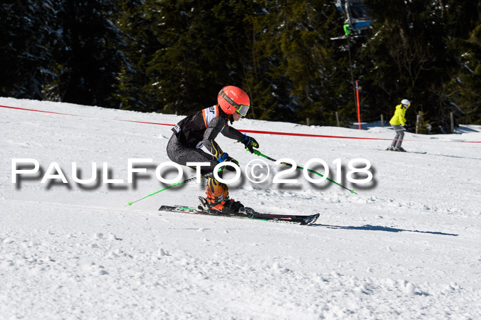 Ziener Cup WF, Finale, Quali + Parallelslalom, 24.03.2018