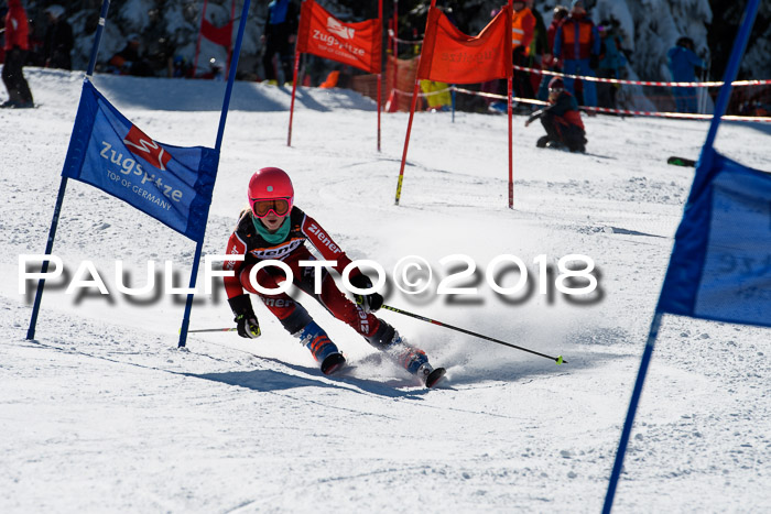Ziener Cup WF, Finale, Quali + Parallelslalom, 24.03.2018