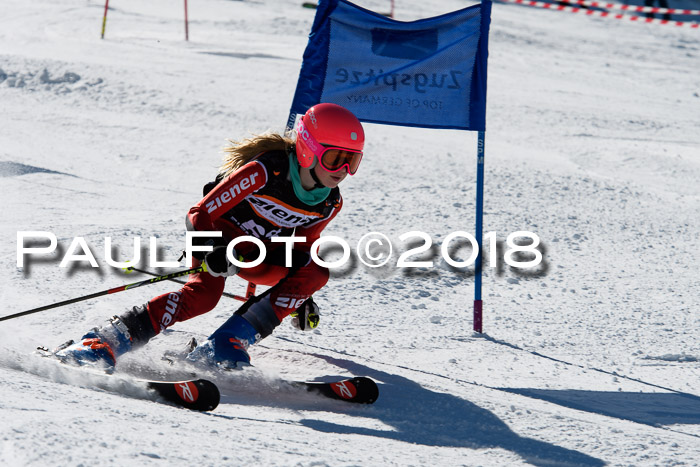 Ziener Cup WF, Finale, Quali + Parallelslalom, 24.03.2018