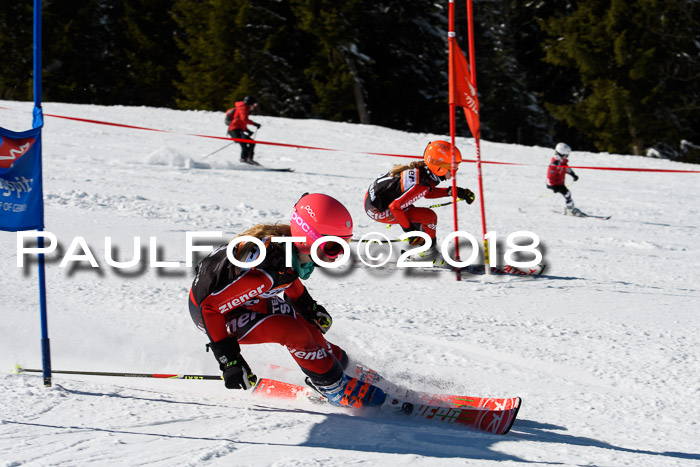 Ziener Cup WF, Finale, Quali + Parallelslalom, 24.03.2018