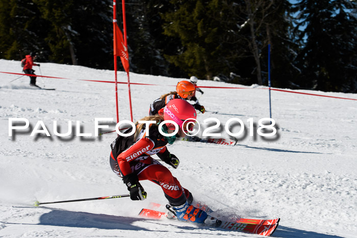 Ziener Cup WF, Finale, Quali + Parallelslalom, 24.03.2018