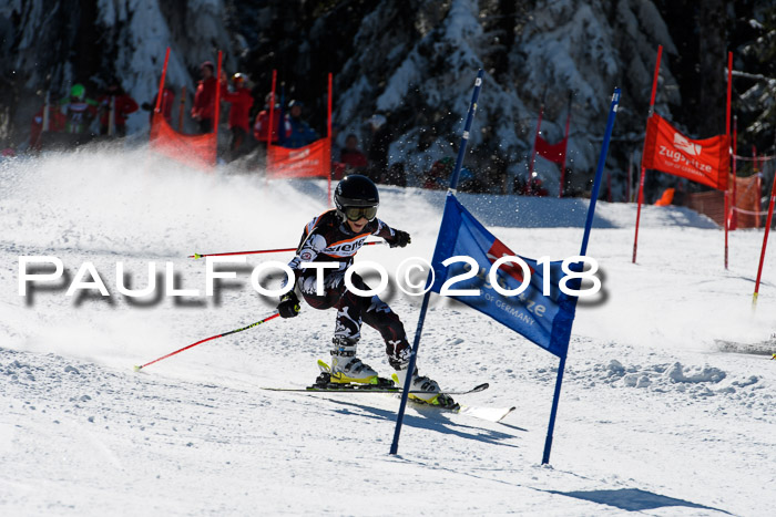 Ziener Cup WF, Finale, Quali + Parallelslalom, 24.03.2018