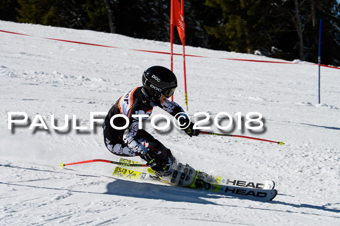Ziener Cup WF, Finale, Quali + Parallelslalom, 24.03.2018