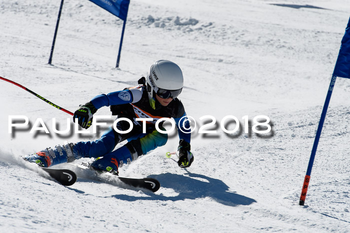 Ziener Cup WF, Finale, Quali + Parallelslalom, 24.03.2018
