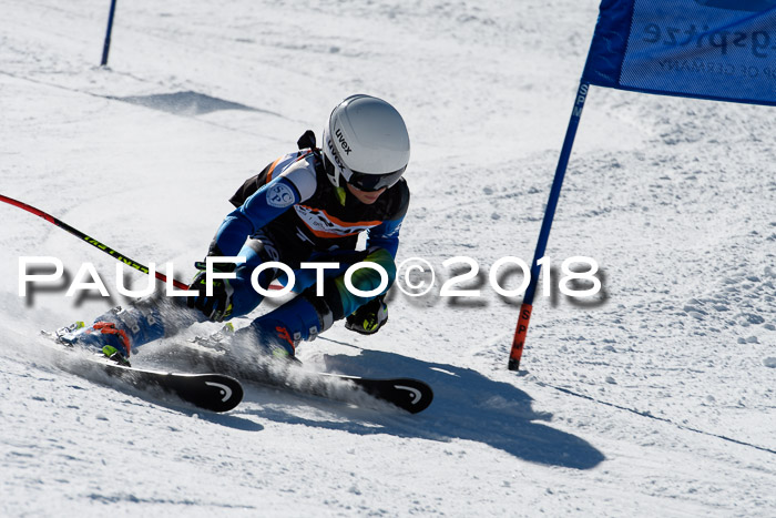 Ziener Cup WF, Finale, Quali + Parallelslalom, 24.03.2018