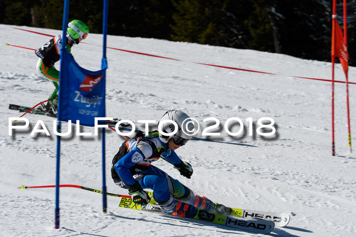Ziener Cup WF, Finale, Quali + Parallelslalom, 24.03.2018