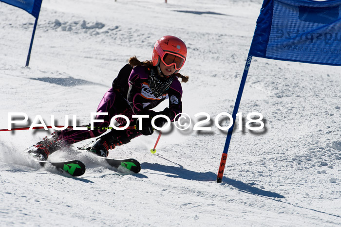 Ziener Cup WF, Finale, Quali + Parallelslalom, 24.03.2018