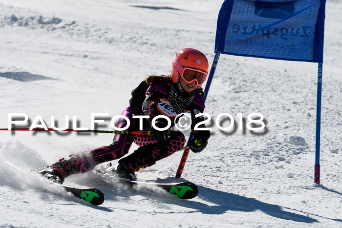 Ziener Cup WF, Finale, Quali + Parallelslalom, 24.03.2018