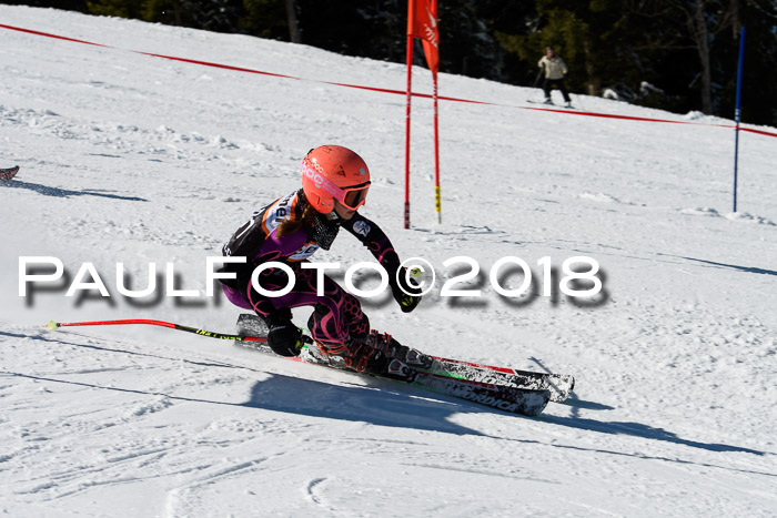 Ziener Cup WF, Finale, Quali + Parallelslalom, 24.03.2018