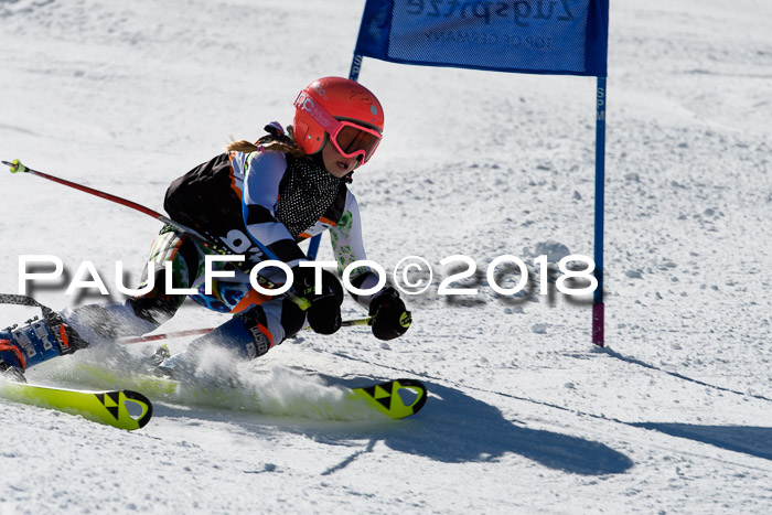 Ziener Cup WF, Finale, Quali + Parallelslalom, 24.03.2018