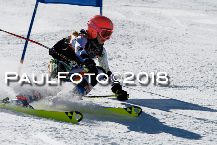 Ziener Cup WF, Finale, Quali + Parallelslalom, 24.03.2018